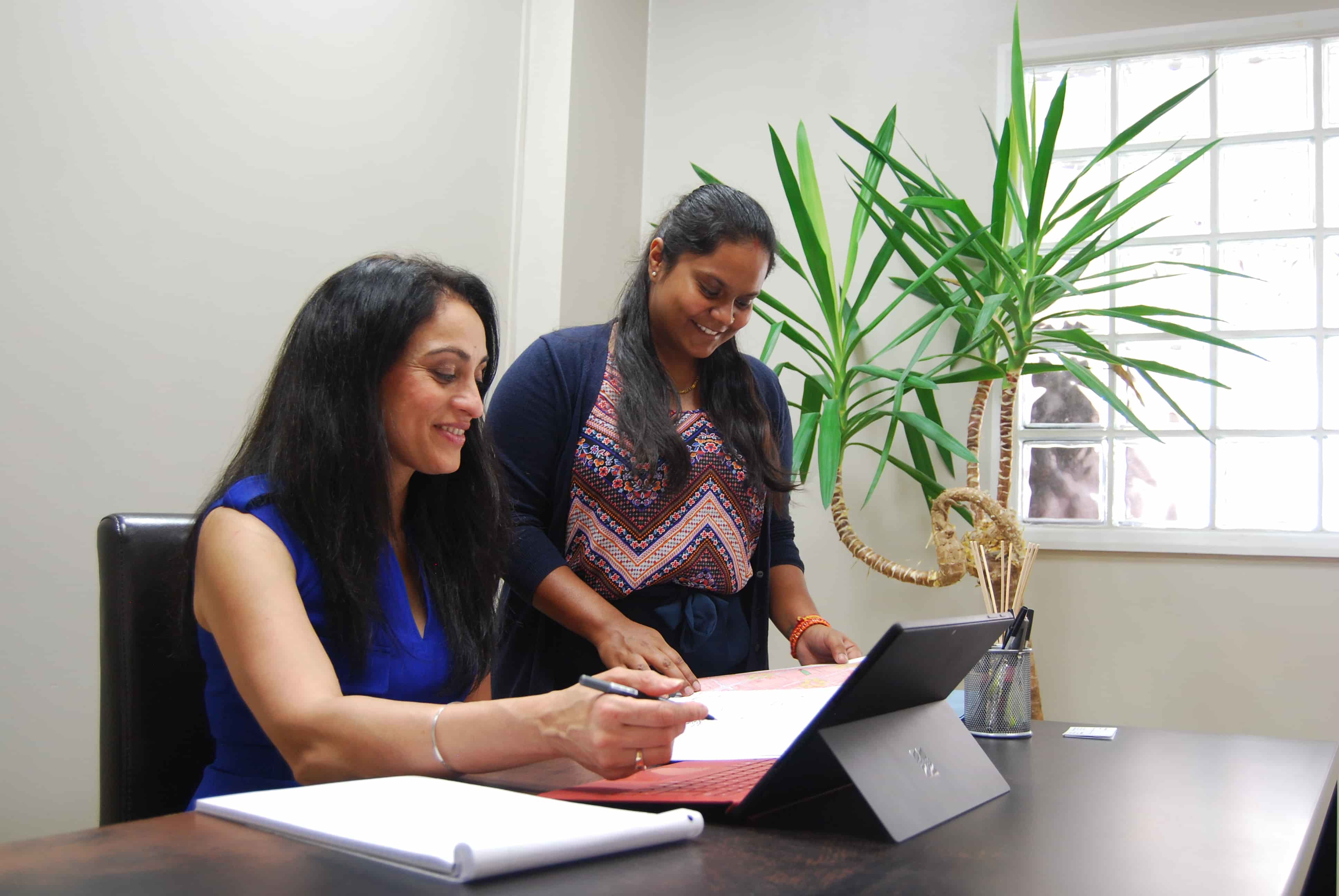 Professional legal services